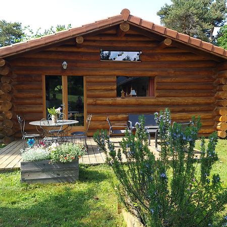 Pialous:Chalet En Rondins Avec Espace Detente La Chapelle-d'Aurec Eksteriør bilde
